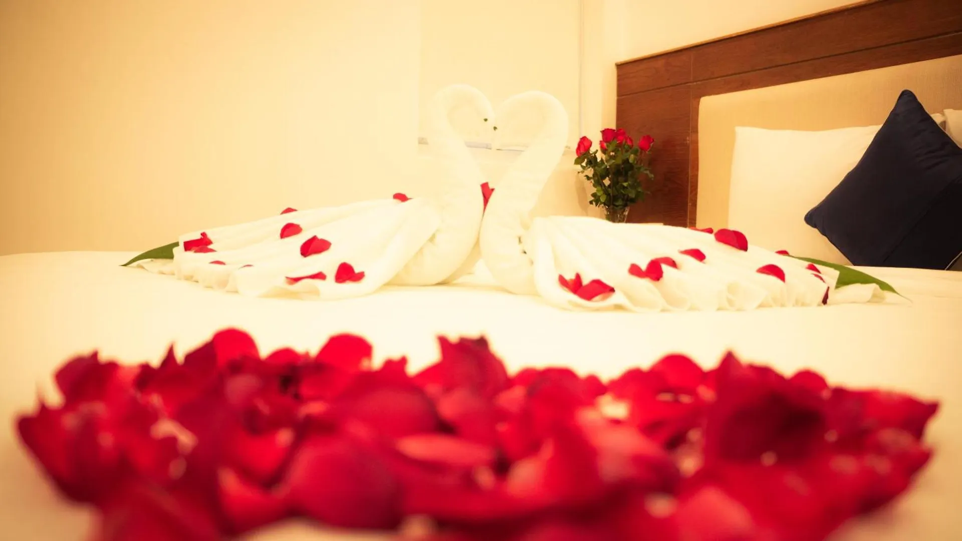 Sea Castle Hotel Da Nang 3*,