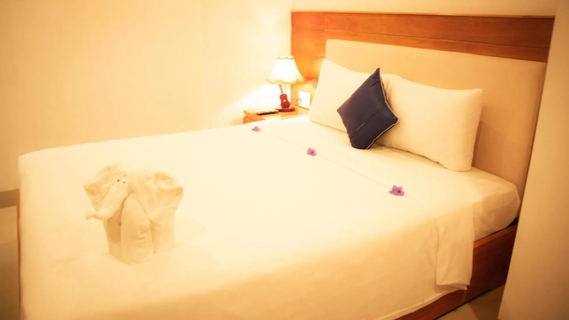 Sea Castle Hotel Da Nang